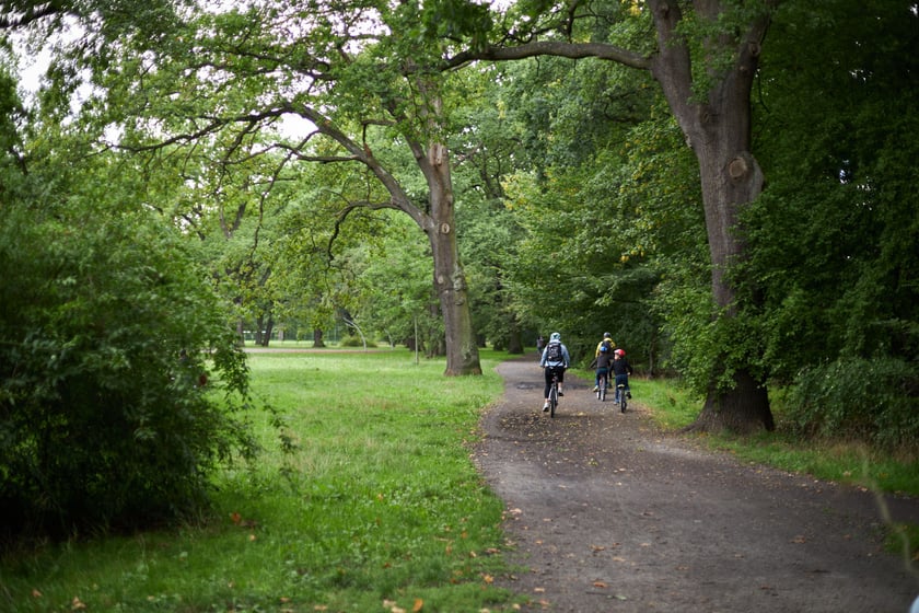 najczęściej park Biskupiński, inaczej zwany Nadodrzańskim