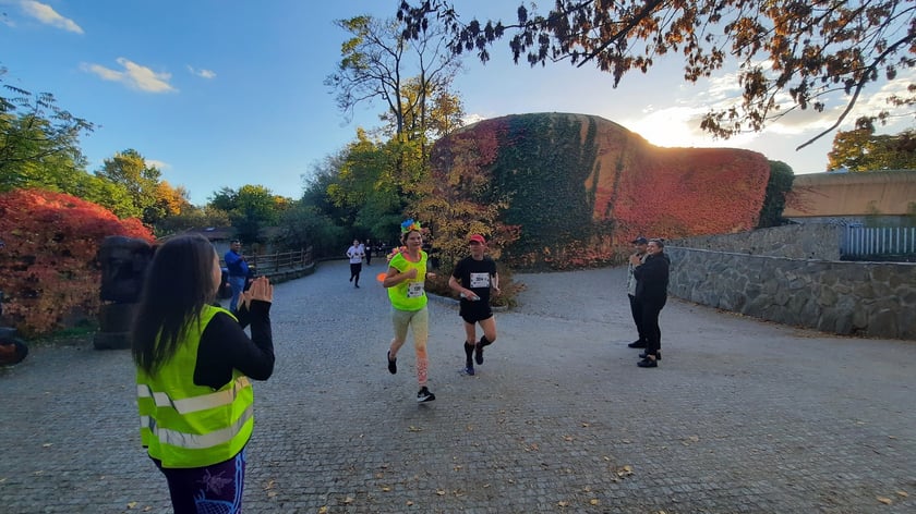 Na zdjęciach uczestnicy Wild Run 2022, dzikiego biegu w Zoo Wrocław