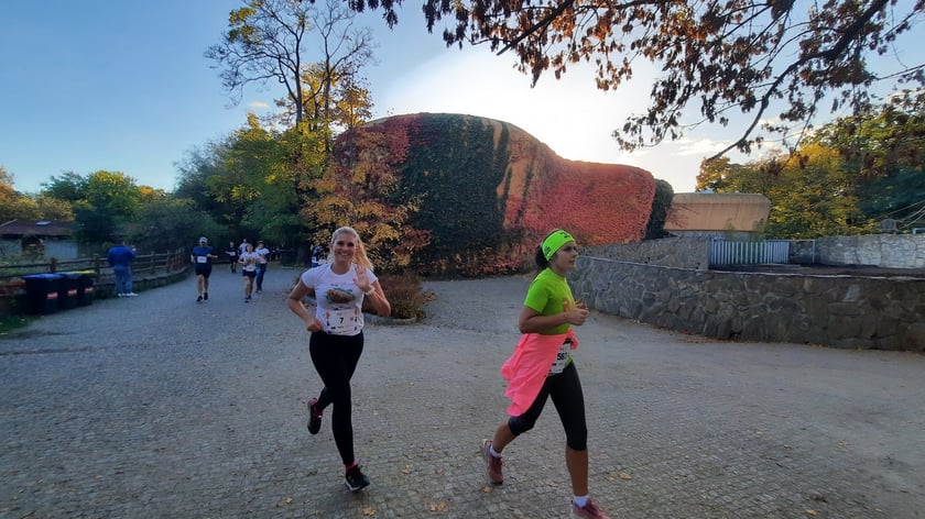Na zdjęciach uczestnicy Wild Run 2022, dzikiego biegu w Zoo Wrocław