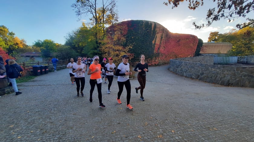 Na zdjęciach uczestnicy Wild Run 2022, dzikiego biegu w Zoo Wrocław