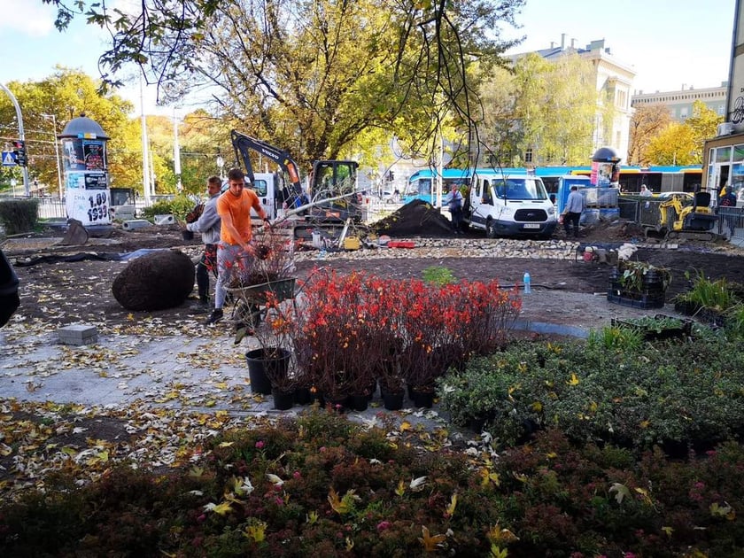 Sadzenie roślin przy placu Orląt Lwowskich