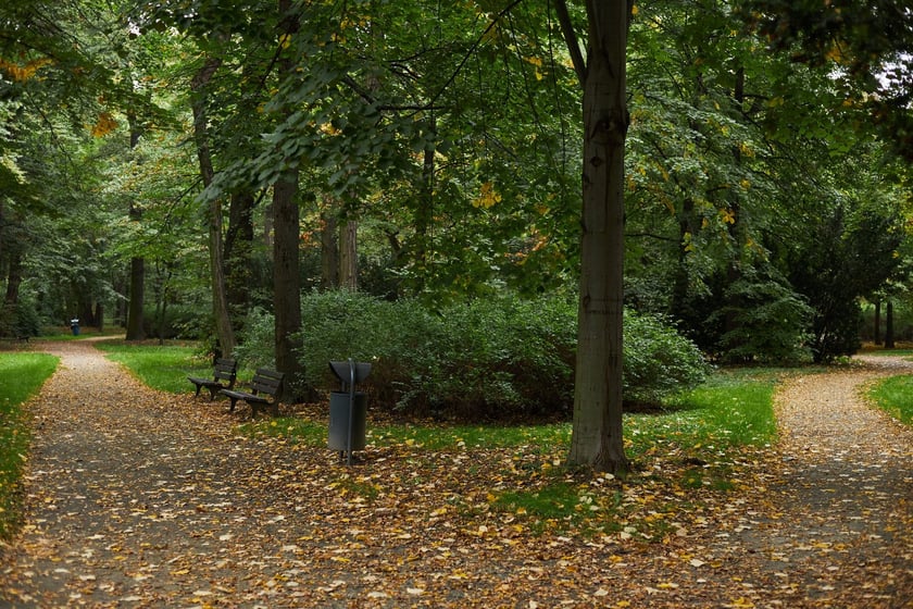 Park Popowicki we Wrocławiu