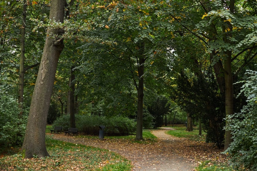 Park Popowicki we Wrocławiu