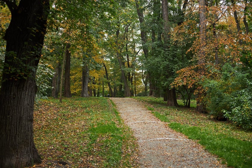 Park Popowicki we Wrocławiu