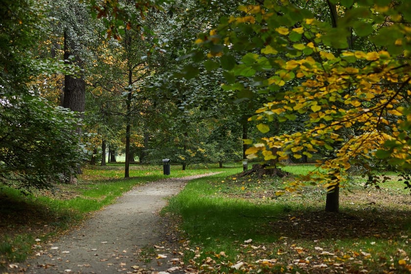 Park Popowicki we Wrocławiu