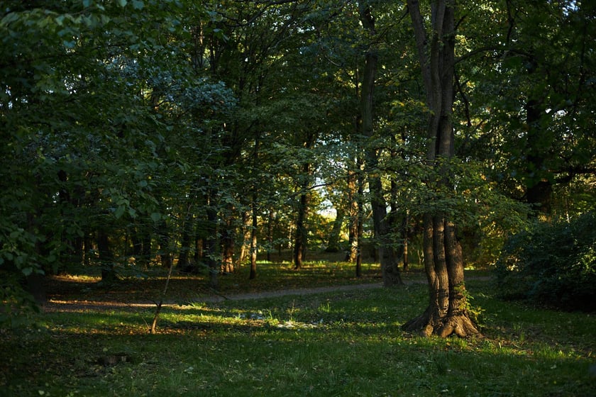 Park Popowicki we Wrocławiu