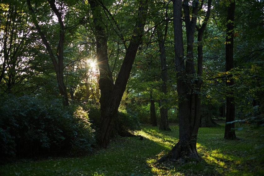 Park Popowicki we Wrocławiu