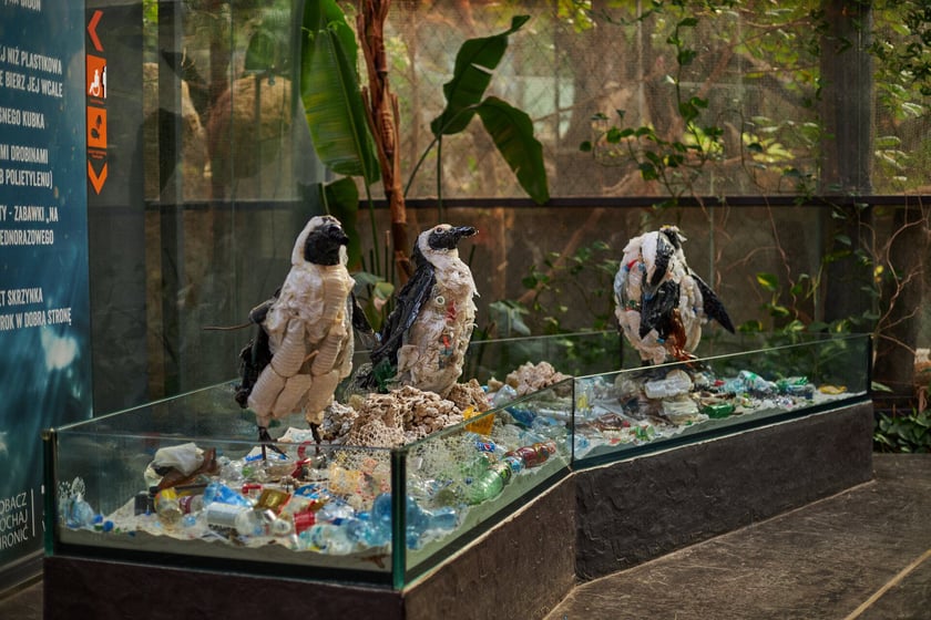 Afrykarium w Zoo Wrocław