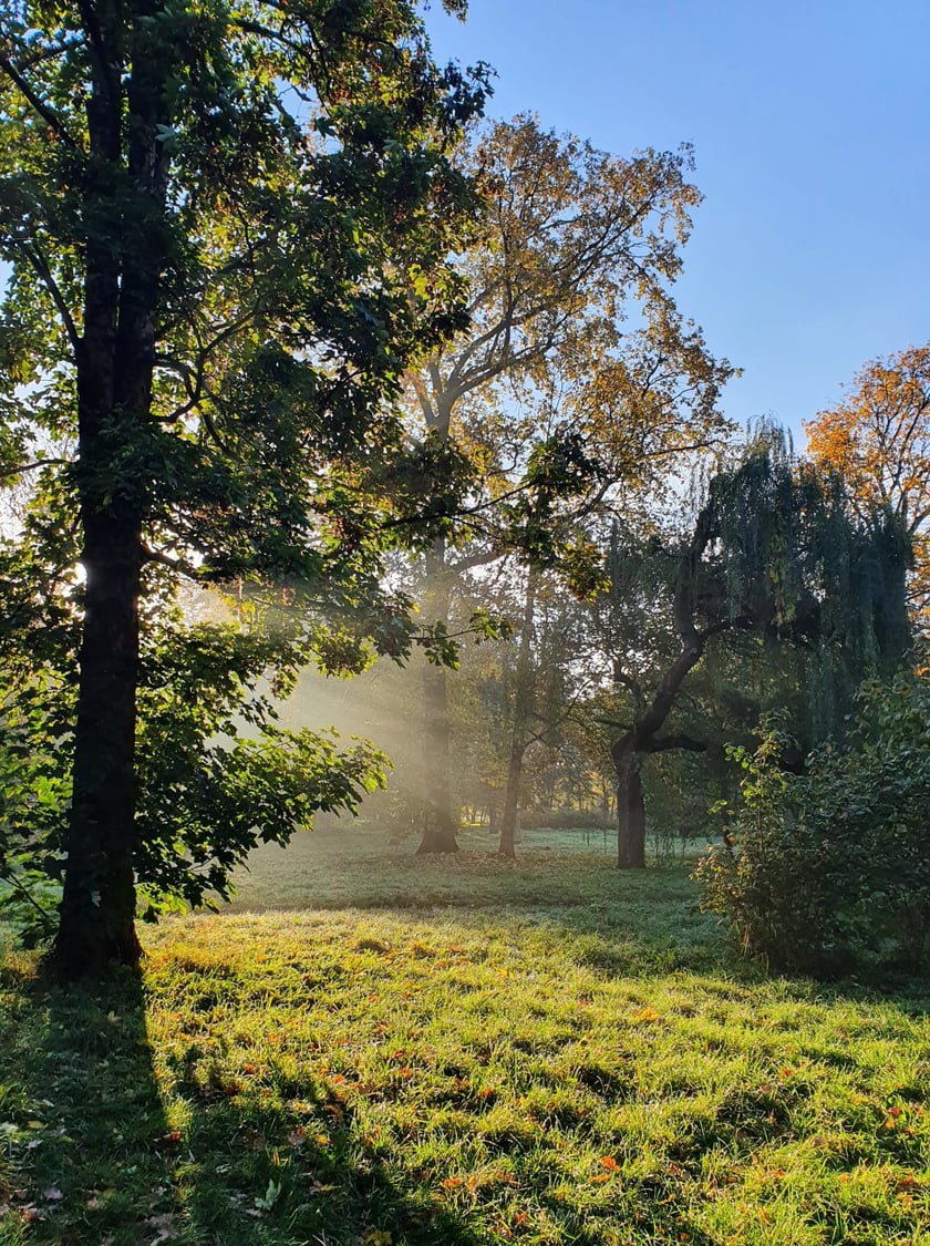 Park Skowroni