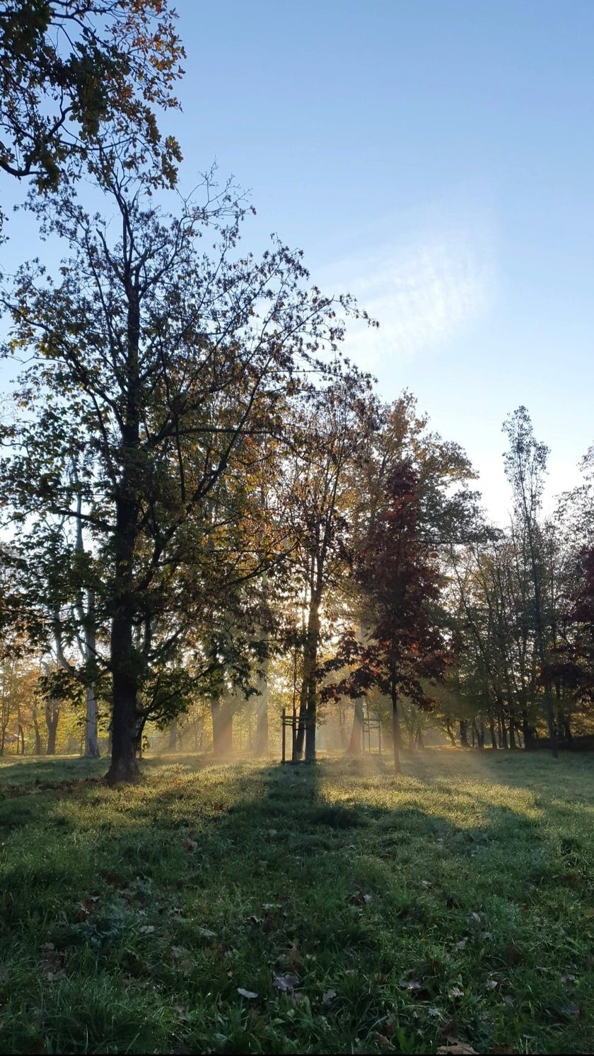 Park Skowroni