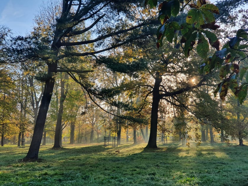 Park Skowroni