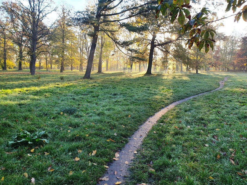 Park Skowroni