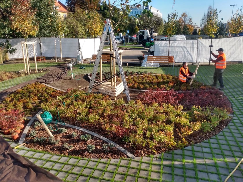 Zakładanie skweru Adama Wójcika przy ul. Mieszczańskiej we Wrocławiu