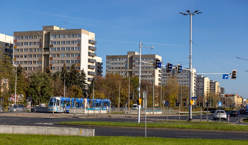 Konferencja prasowa dotycząca sadzenia drzew przy ul. Legnickiej i Lotniczej połączona z posadzeniem pierwszej lipy