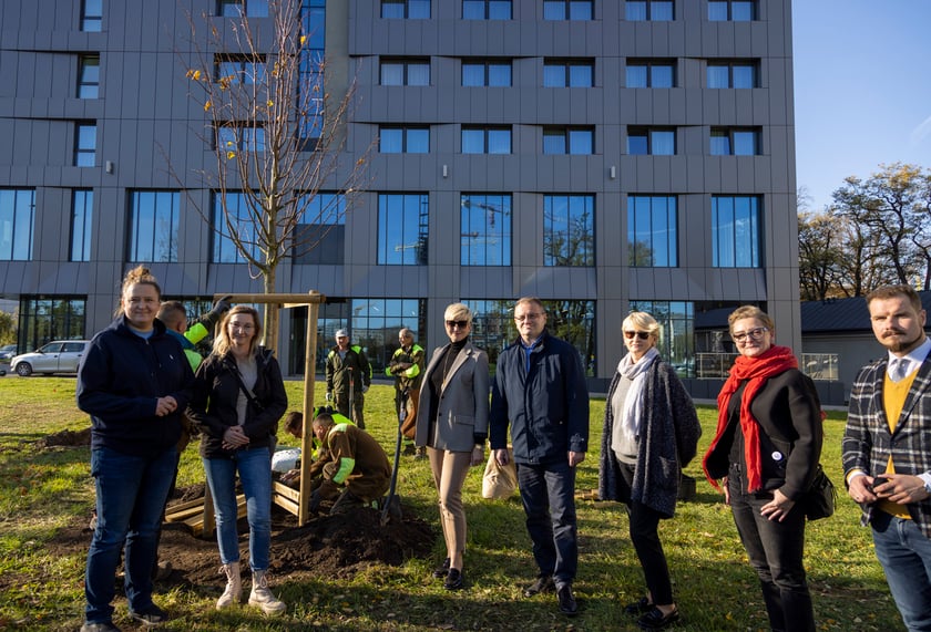 Konferencja prasowa dotycząca sadzenia drzew przy ul. Legnickiej i Lotniczej połączona z posadzeniem pierwszej lipy