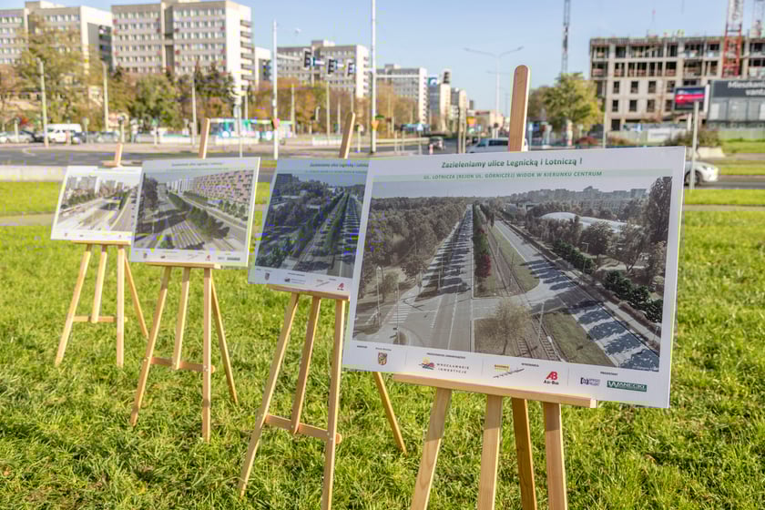 Konferencja prasowa dotycząca sadzenia drzew przy ul. Legnickiej i Lotniczej połączona z posadzeniem pierwszej lipy