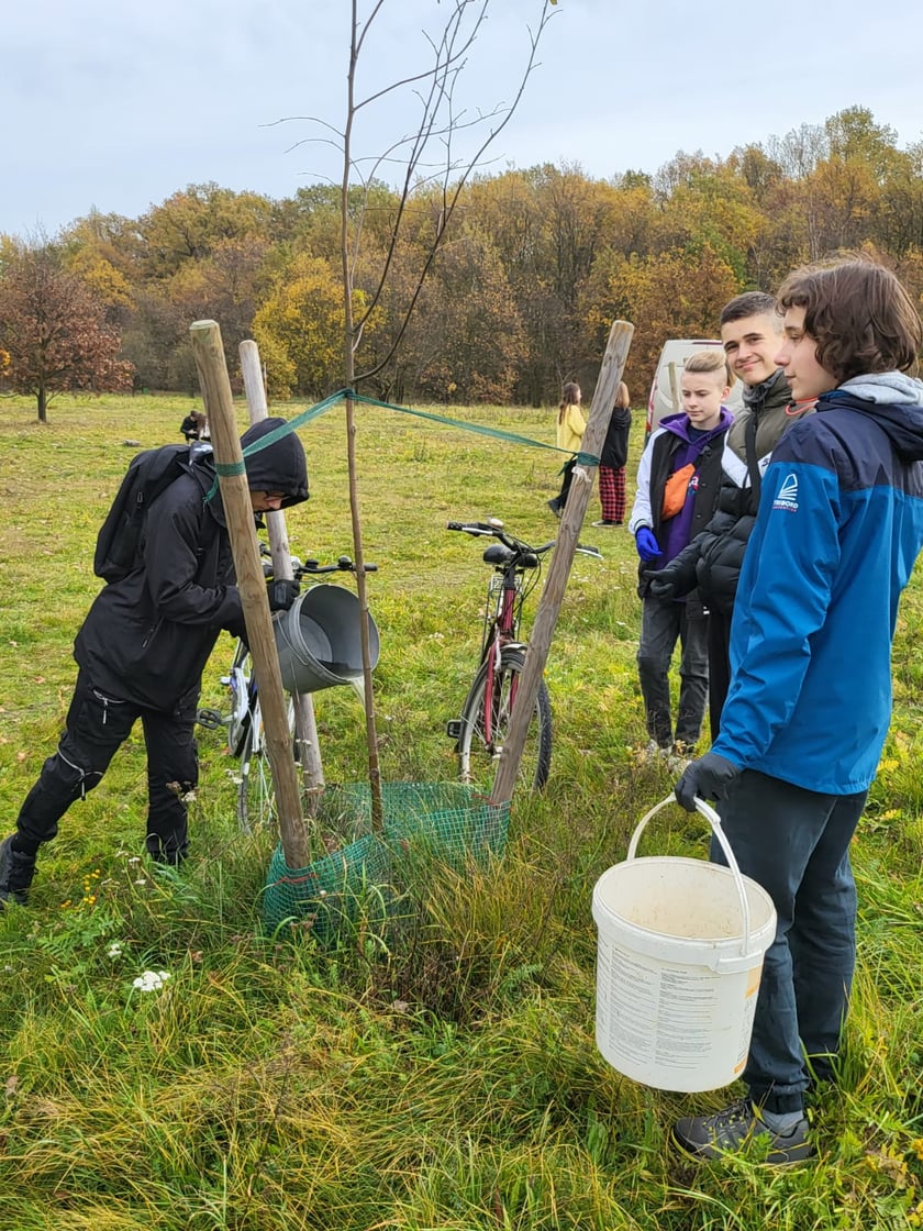 Mieszkańcy Maślic sprzątali w weekend osiedle. Posadzili też drzewa i krzewy