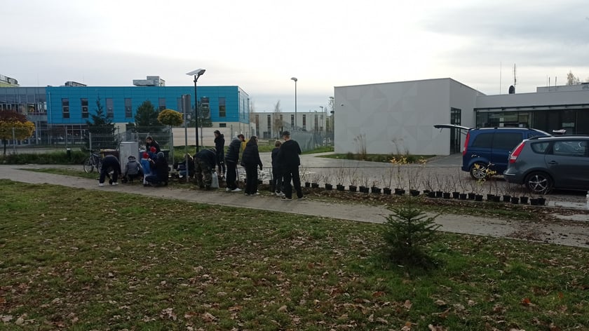 Mieszkańcy Maślic sprzątali w weekend osiedle. Posadzili też drzewa i krzewy
