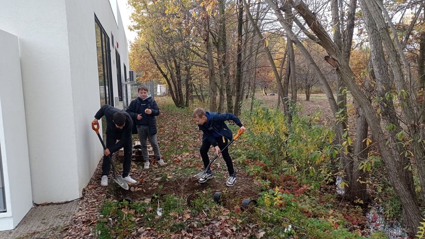 Mieszkańcy Maślic sprzątali w weekend osiedle. Posadzili też drzewa i krzewy
