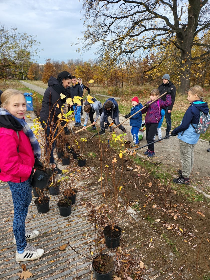 Mieszkańcy Maślic sprzątali w weekend osiedle. Posadzili też drzewa i krzewy