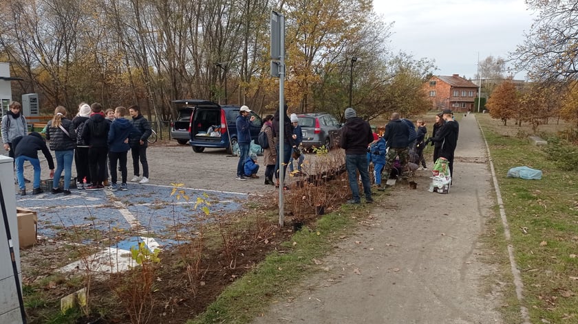 Mieszkańcy Maślic sprzątali w weekend osiedle. Posadzili też drzewa i krzewy