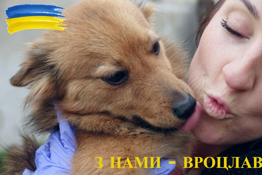 Na zdjęciu pies z Ukrainy i jego opiekunka