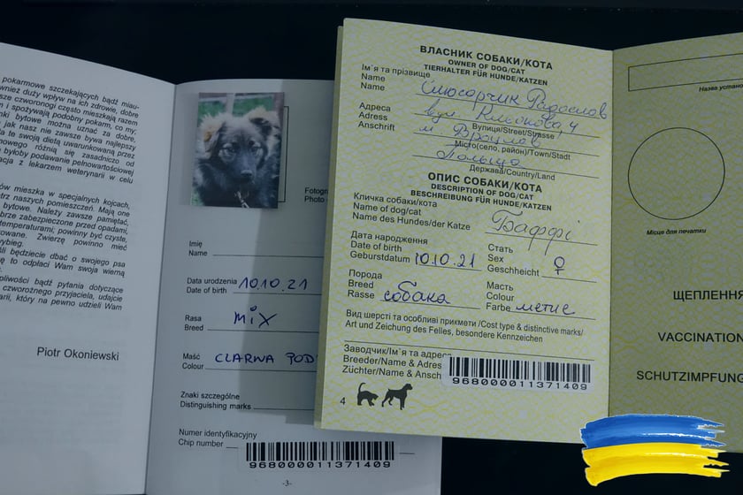 Na zdjęciu dokumenty zwierząt uratowanych przez Ekostraż