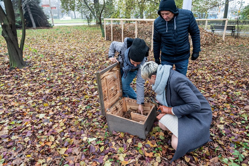 Na zdjęciu domek dla jeży w parku Słowackiego we Wrocławiu