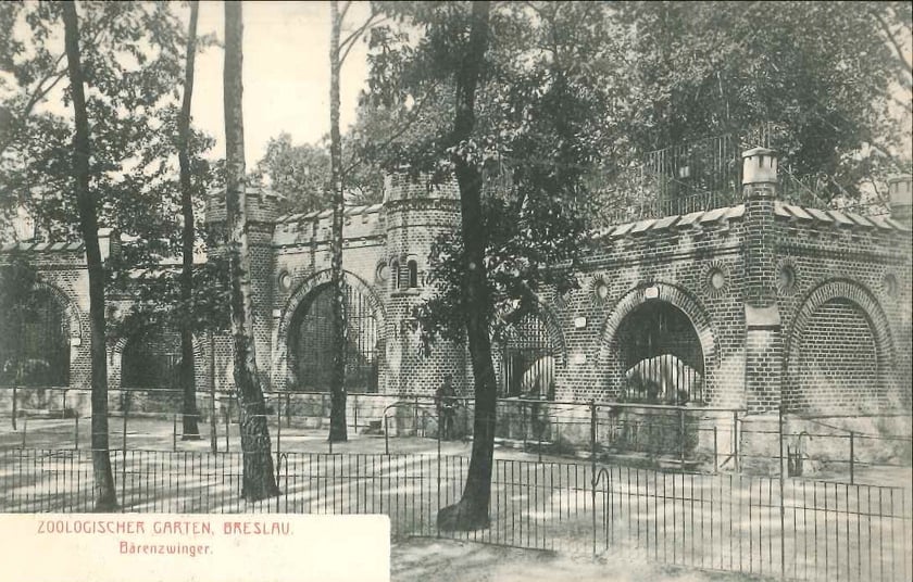 Przedwojenne pocztówki z wrocławskiego zoo. Baszta Niedźwiedzi