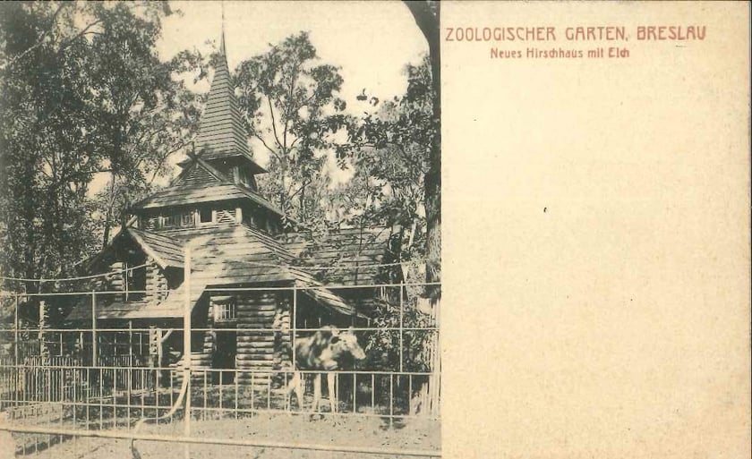 Przedwojenne pocztówki z wrocławskiego zoo