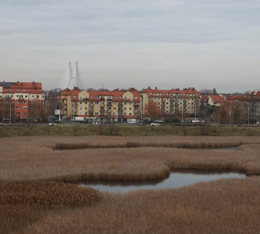 Działka ze stawem przy stadionie