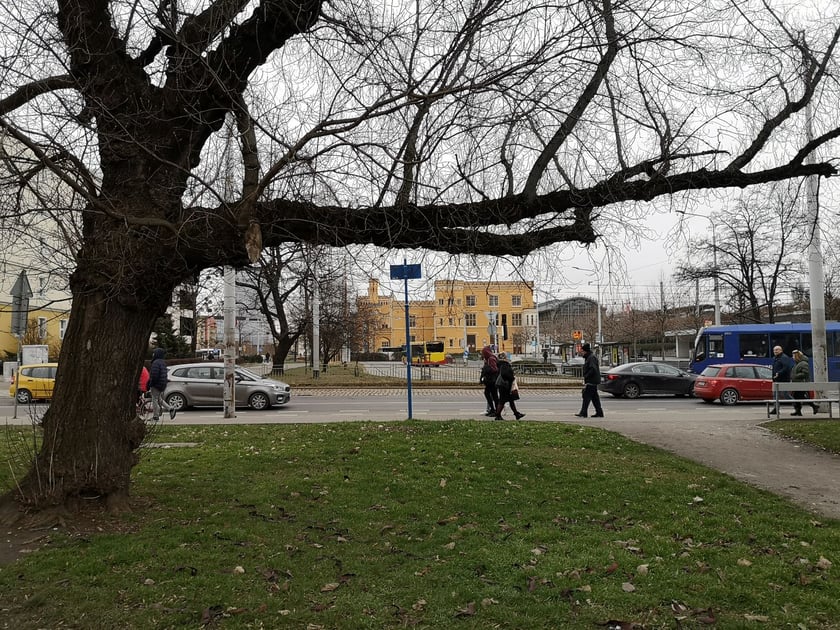 Na zdjęciu skwer Czesława Niemena we Wrocławiu