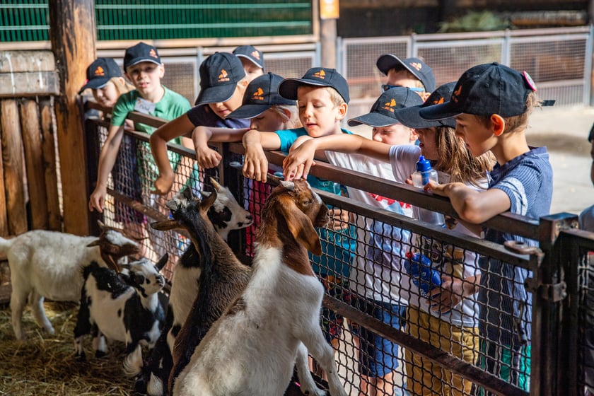 Dzieci podczas zajęć edukacyjnych w Zoo Wrocław / zdjęcie ilustracyjne