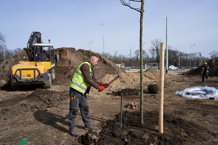 Tak powstaje park na Nowym Dworze przy ul. Rogowskiej. Dzięki temu pętla autobusowo-tramwajowa kończąca TAT będzie dużo bardziej urokliwa, a okolica zyska "płuca".