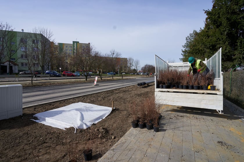 Tak powstaje park na Nowym Dworze przy ul. Rogowskiej. Dzięki temu pętla autobusowo-tramwajowa kończąca TAT będzie dużo bardziej urokliwa, a okolica zyska "płuca".
