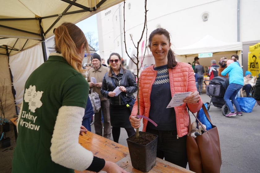 Zielony piknik na placu Strzegomskim