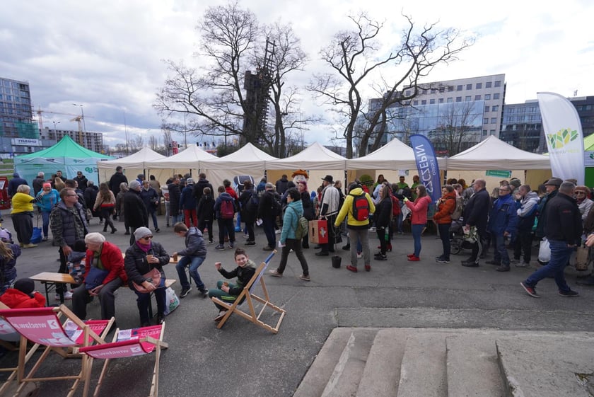 Zielony piknik na placu Strzegomskim