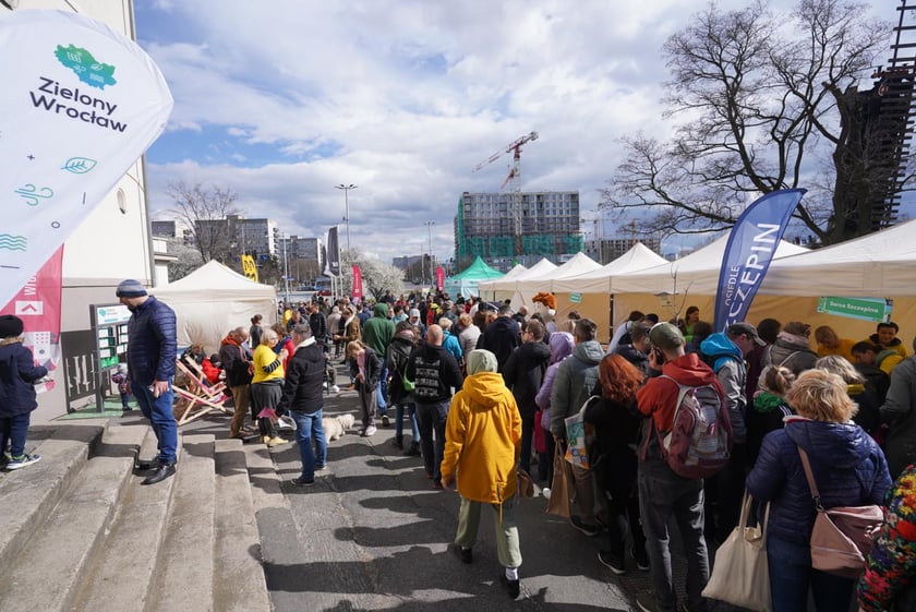 Zielony piknik na placu Strzegomskim