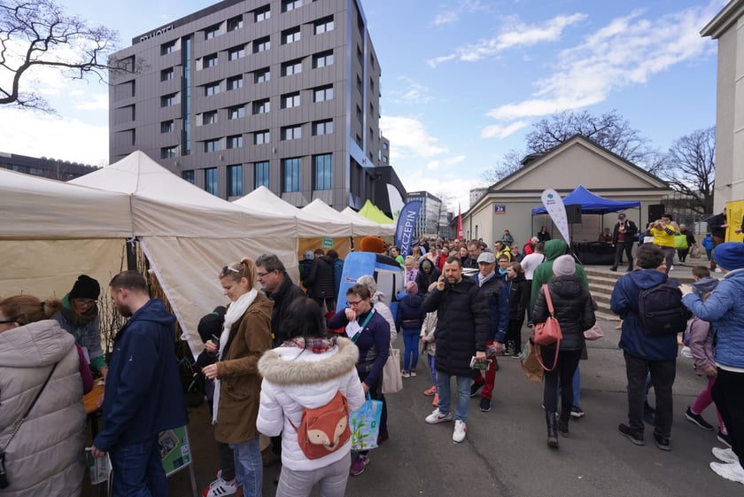 Zielony piknik na placu Strzegomskim