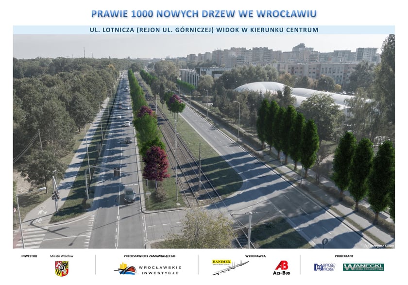Taka pięknie wyglądać będzie ulica, gdy drzewa urosną.