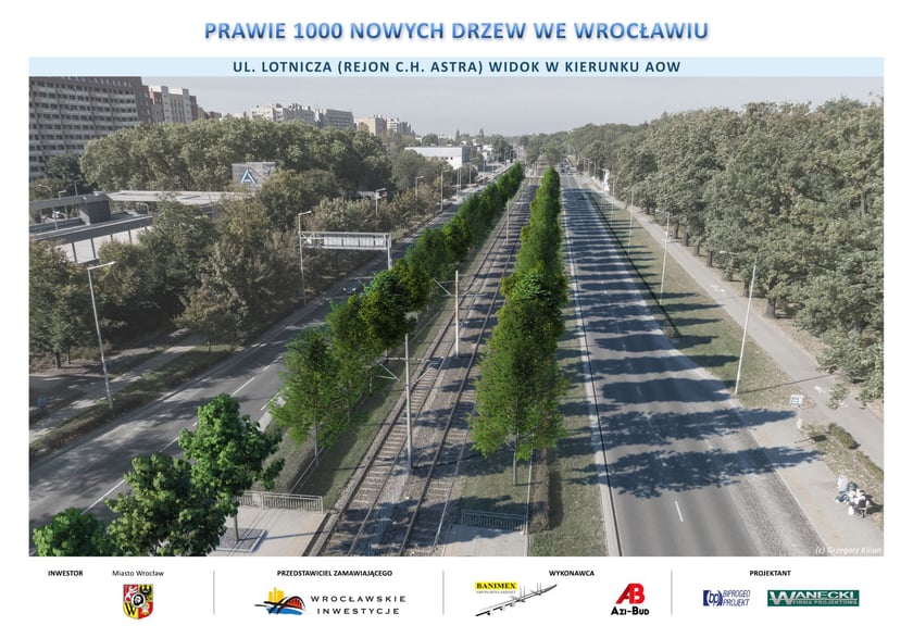Taka pięknie wyglądać będzie ulica, gdy drzewa urosną.