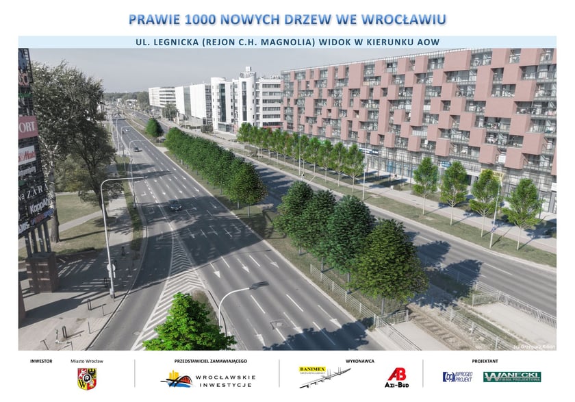 Taka pięknie wyglądać będzie ulica Legnicka w pobliżu Magnolii, gdy drzewa urosną.