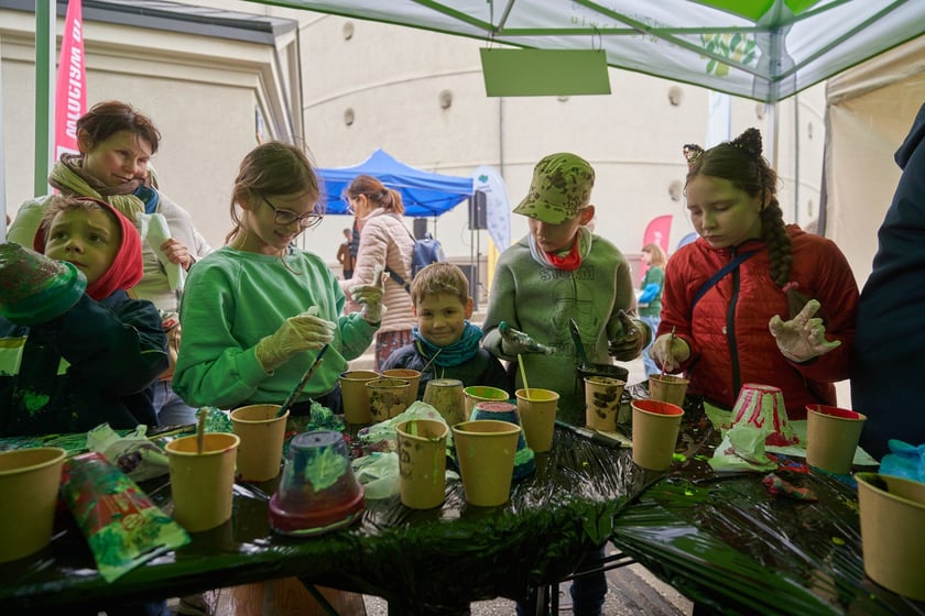 Piknik Zielona Legnicka
