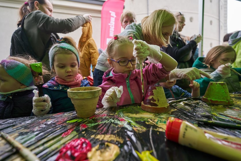 Piknik Zielona Legnicka