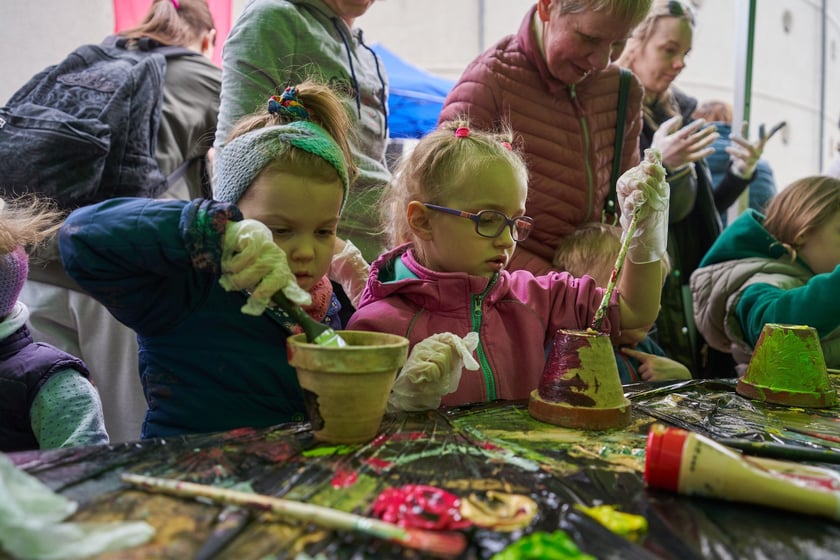 Piknik Zielona Legnicka