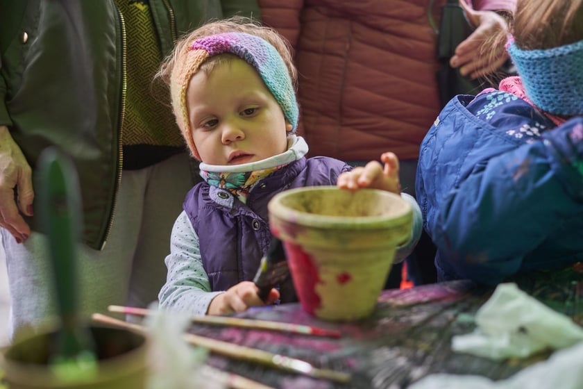 Piknik Zielona Legnicka