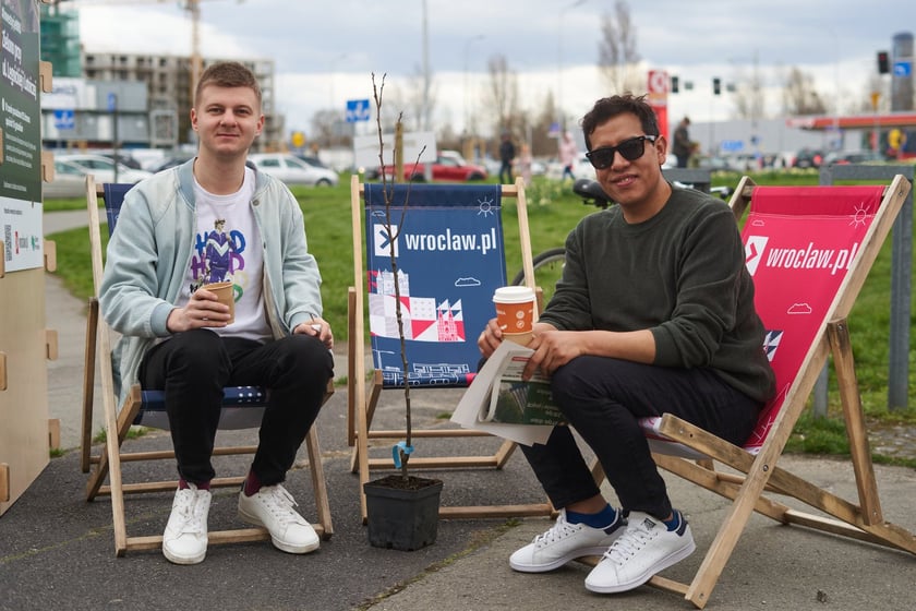 Piknik Zielona Legnicka