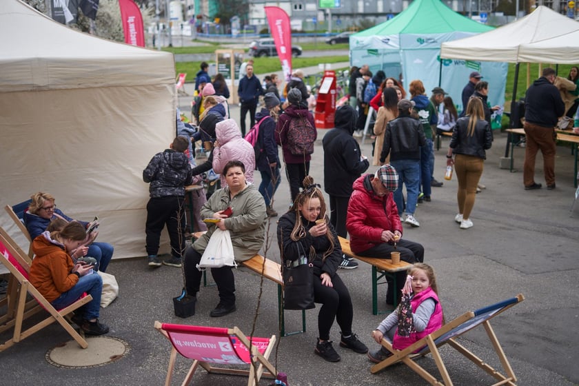 Piknik Zielona Legnicka