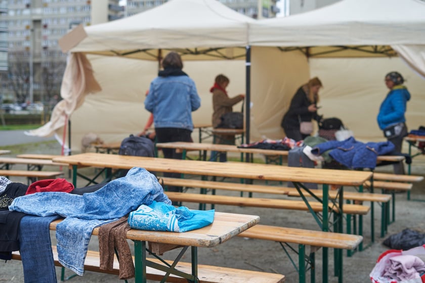 Piknik Zielona Legnicka