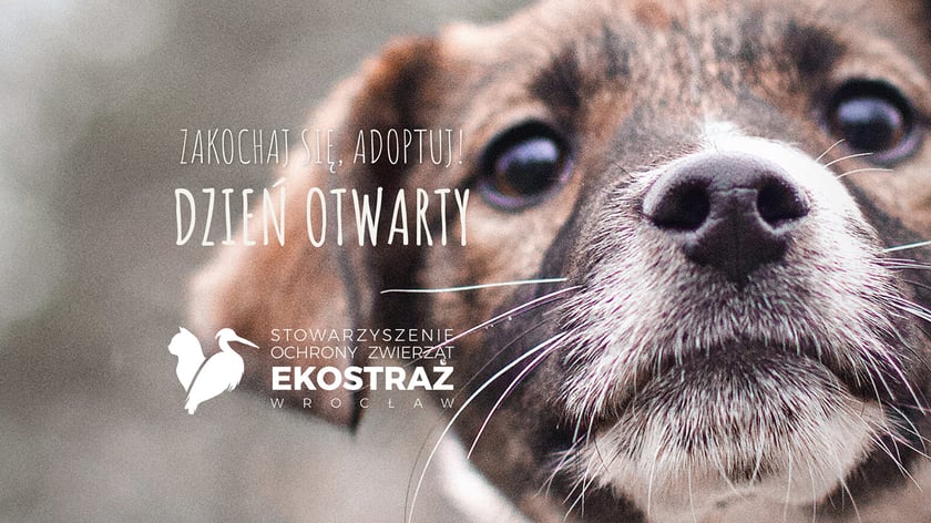 2 kwietnia dzień otwarty Ekostraży - plakat